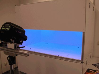 Einstellung blau